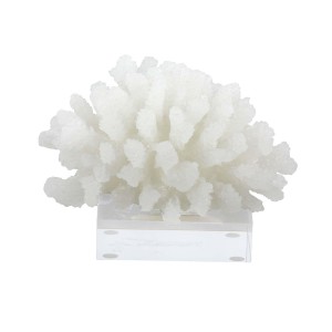 Decmode coastal 5 inch white polystone coral sculpture with acrylic base beach décor, white   566922735